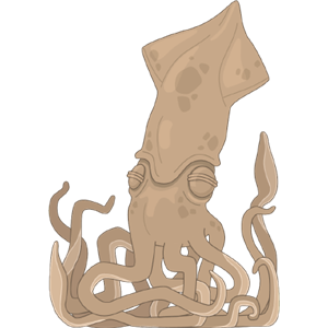 Squid PNG-47186
